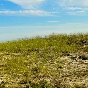 Meet your Posher, Jacqueline